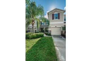 12562 STREAMDALE DRIVE, TAMPA, FL 33626 - MLS#MFRTB8444771