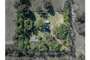 34800 ORANGE BELT DRIVE, DADE CITY, FL 33523 - MLS#MFRTB8444775