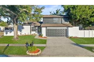 6502 Spanish Moss Cir, TAMPA 6502 Spanish Moss Cir, TAMPA