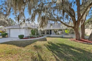 3225 PINE CLUB DRIVE, PLANT CITY, FL 33566 - MLS#MFRTB8444787