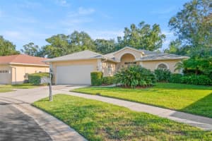 3045 Crest Dr, CLEARWATER 3045 Crest Dr, CLEARWATER
