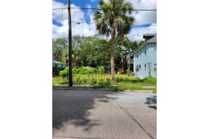 101 LEMON STREET, TARPON SPRINGS, FL 34689 - MLS#MFRTB8444829