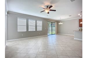 14240 BLUE DASHER DRIVE, RIVERVIEW, FL 33569 - MLS#MFRTB8444834