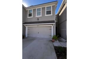 14234 DAMSELFLY DRIVE, TAMPA, FL 33625 - MLS#MFRTB8444840