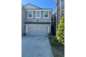14234 DAMSELFLY DRIVE, TAMPA, FL 33625 - MLS#MFRTB8444840