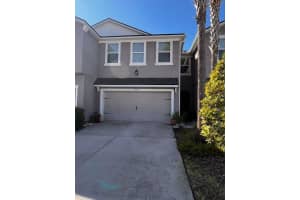 14234 DAMSELFLY DRIVE, TAMPA, FL 33625 - MLS#MFRTB8444840