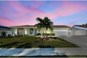 2039 KINGFISHER DRIVE, PALM HARBOR, FL 34683 - MLS#MFRTB8444848