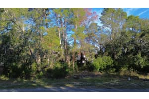 7931 RHANBUOY ROAD, SPRING HILL, FL 34606 - MLS#MFRTB8444851
