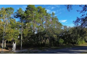 7931 RHANBUOY ROAD, SPRING HILL, FL 34606 - MLS#MFRTB8444851
