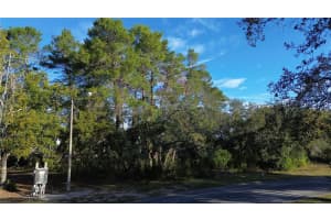 7931 RHANBUOY ROAD, SPRING HILL, FL 34606 - MLS#MFRTB8444851