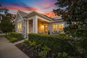 6002 Sparrowhead Way, LITHIA