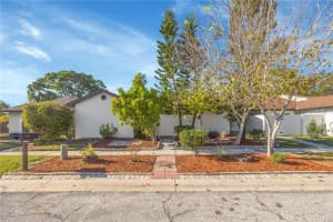 11404 Waveland Way, TAMPA 11404 Waveland Way, TAMPA