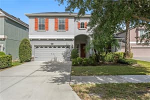 19303 WATER MAPLE DRIVE, TAMPA, FL 33647 - MLS#MFRTB8444885