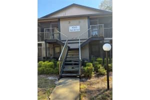 4025 Angel Oak Ct #103, TAMPA