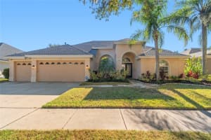 19104 Nature Palm Ln, TAMPA
