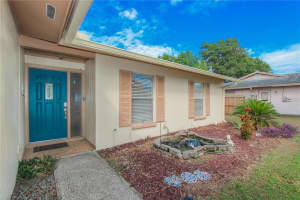 925 MCINTOSH CIRCLE, BRANDON, FL 33510 - MLS#MFRTB8444953