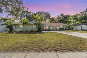 1031 FOREST GROVE BOULEVARD, PALM HARBOR, FL 34683 - MLS#MFRTB8444955