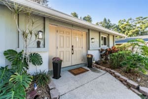 1031 FOREST GROVE BOULEVARD, PALM HARBOR, FL 34683 - MLS#MFRTB8444955