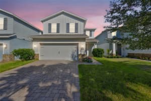 11630 MANDEVILLA VIEW WAY, RIVERVIEW, FL 33579 - MLS#MFRTB8444960