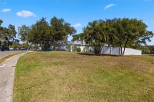 245 PETREA DRIVE, PALM HARBOR, FL 34684 - MLS#MFRTB8444967