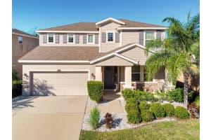 11607 WARREN OAKS PLACE, RIVERVIEW, FL 33578 - MLS#MFRTB8444975
