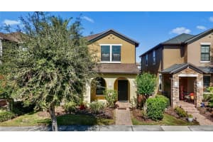 28642 Tranquil Lake Cir, WESLEY CHAPEL 28642 Tranquil Lake Cir, WESLEY CHAPEL