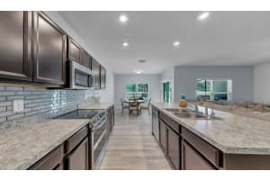 14530 HADDON MIST DRIVE, WIMAUMA, FL 33598 - MLS#MFRTB8444994