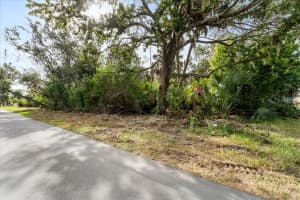 PIER RD, NEW PORT RICHEY, FL 34652 - MLS#MFRTB8445032