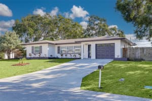 935 HILLWOOD DRIVE, DUNEDIN, FL 34698 - MLS#MFRTB8445033