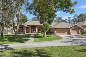 321 CRESSIDA CIRCLE, SPRING HILL, FL 34609 - MLS#MFRTB8445083