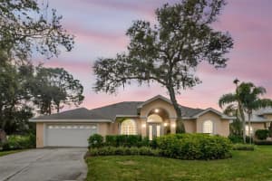 731 Waterside Ct, TARPON SPRINGS 731 Waterside Ct, TARPON SPRINGS