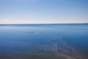 2158 BLOSSOM WAY, ST PETERSBURG, FL 33712 - MLS#MFRTB8445146