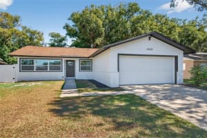 14339 Diplomat Dr, TAMPA