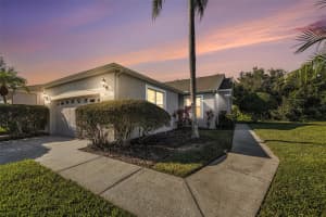 20521 HOMOSSASA COURT, LAND O LAKES, FL 34637 - MLS#MFRTB8445244