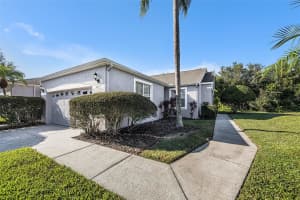 20521 HOMOSSASA COURT, LAND O LAKES, FL 34637 - MLS#MFRTB8445244