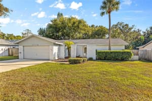 2824 RUSTIC OAKS DRIVE, PALM HARBOR, FL 34684 - MLS#MFRTB8445263