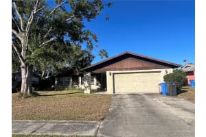 14310 PROMONTORY POINT PLACE, TAMPA, FL 33625 - MLS#MFRTB8445264