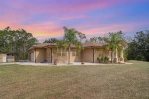 30215 SADDLEBAG TRAIL, MYAKKA CITY, FL 34251 - MLS#MFRTB8445269