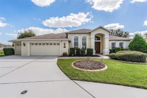 20331 NATURES CORNER DRIVE, TAMPA, FL 33647 - MLS#MFRTB8445278