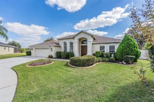 20331 NATURES CORNER DRIVE, TAMPA, FL 33647 - MLS#MFRTB8445278