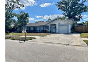 19114 ALICE CIRCLE, LUTZ, FL 33558 - MLS#MFRTB8445282