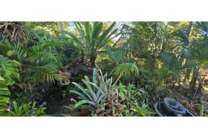 3665 42ND AVENUE, ST PETERSBURG, FL 33714 - MLS#MFRTB8445283