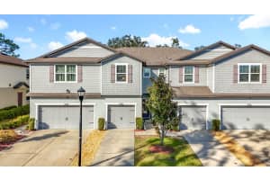 5192 SYLVESTER LOOP, TAMPA, FL 33610 - MLS#MFRTB8445290