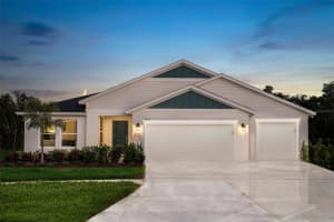 9962 Annunciation Dr, WESLEY CHAPEL