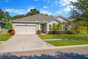2608 VALLEY SUNSET LANE, VALRICO, FL 33594 - MLS#MFRTB8445313