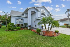1119 FOX CHAPEL DRIVE, LUTZ, FL 33549 - MLS#MFRTB8445314