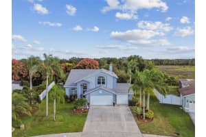 1119 FOX CHAPEL DRIVE, LUTZ, FL 33549 - MLS#MFRTB8445314