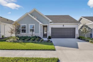 11329 HARDWOOD HAMMOCK LANE, RIVERVIEW, FL 33569 - MLS#MFRTB8445333