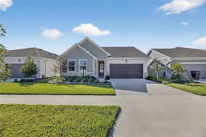 11329 HARDWOOD HAMMOCK LANE, RIVERVIEW, FL 33569 - MLS#MFRTB8445333