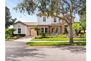 17420 VARONA PLACE, LUTZ, FL 33548 - MLS#MFRTB8445341